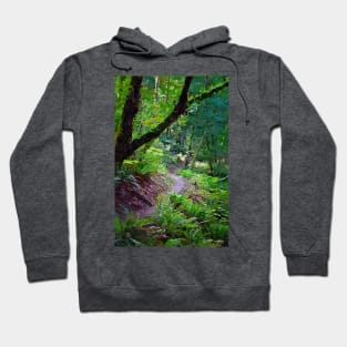 Winding Trail Hoodie